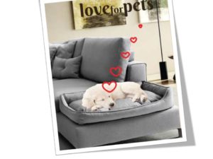 cuccia per il cane