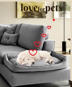 divano adatto per cani e gatti