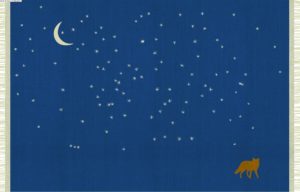 Tappeto cielo con stelle by Nidi per la cameretta dei bambini.