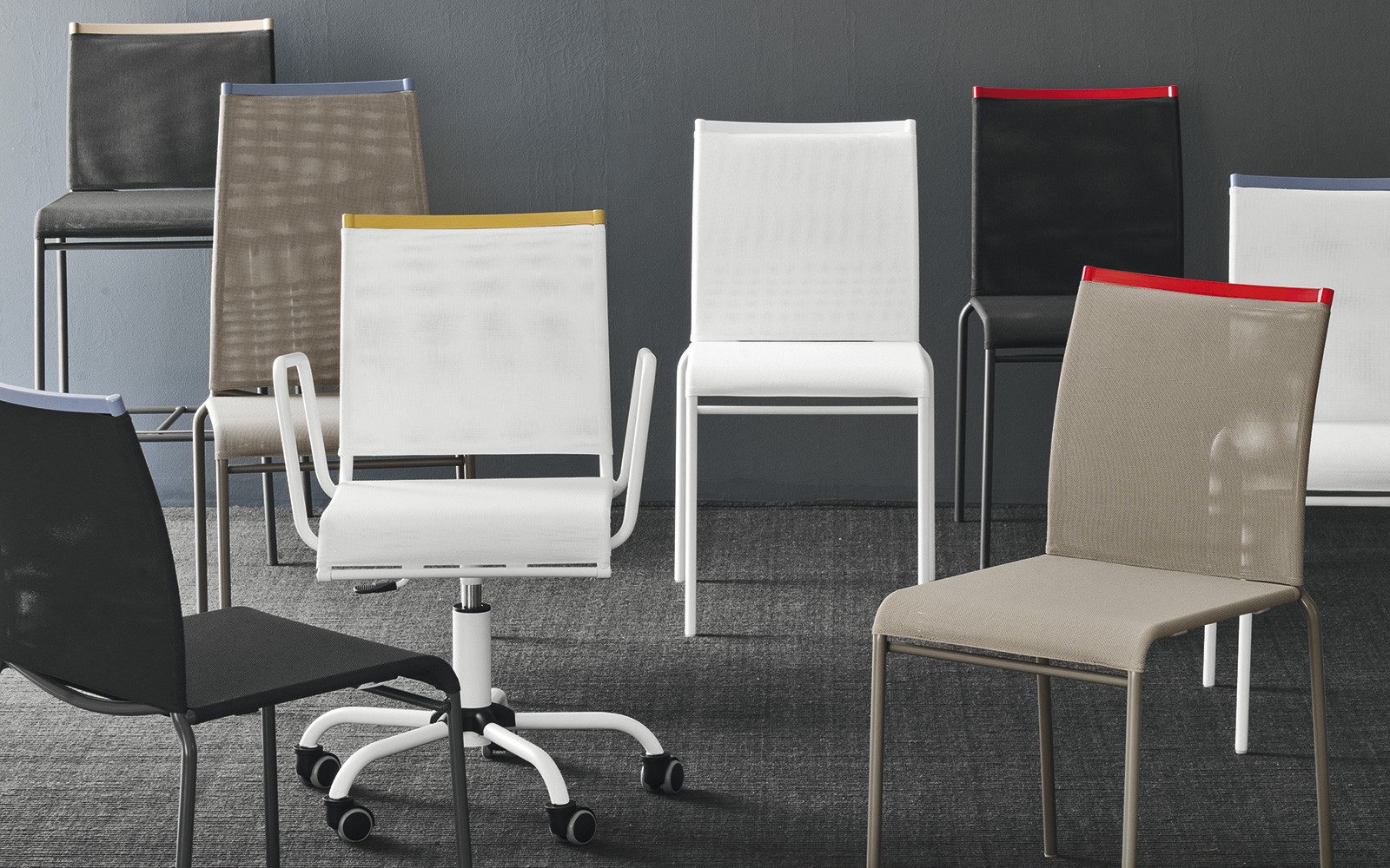 Sedie Web di Calligaris